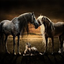 Cross stitch pattern: #18040