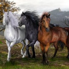Cross stitch pattern: #18042