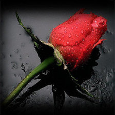 Cross stitch pattern: #18388