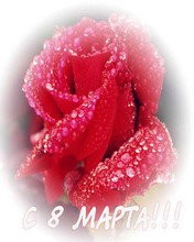 Cross stitch pattern: #18399