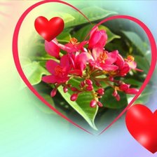 Cross stitch pattern: #18425