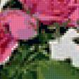 Preview of cross stitch pattern: #18427