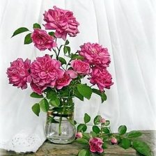 Cross stitch pattern: #18427