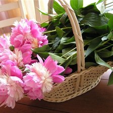 Cross stitch pattern: #18433