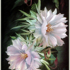 Cross stitch pattern: #18605