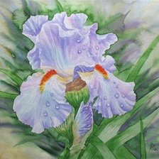 Cross stitch pattern: #19163