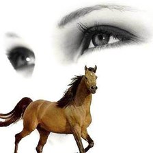 Cross stitch pattern: #19782