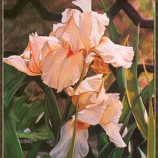 Cross stitch pattern: #20098