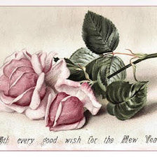 Cross stitch pattern: #20418