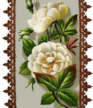 Cross stitch pattern: #20554