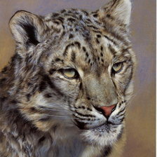 Cross stitch pattern: #20636