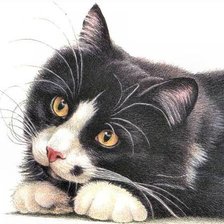 Cross stitch pattern: #20641