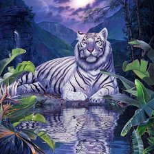 Cross stitch pattern: #20693