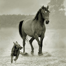 Cross stitch pattern: #21108