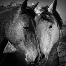 Cross stitch pattern: #21111