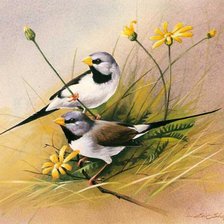 Cross stitch pattern: #21527