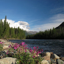 Cross stitch pattern: #22127