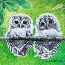 Cross stitch pattern: #22457