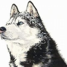 Cross stitch pattern: #22496