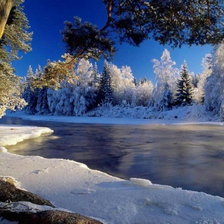 Cross stitch pattern: #23241