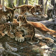 Cross stitch pattern: #23339