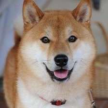 Cross stitch pattern: #23895