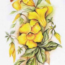 Cross stitch pattern: #24011