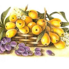 Cross stitch pattern: #24015