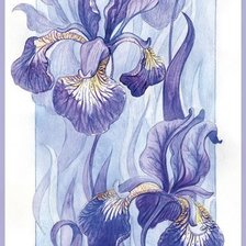 Cross stitch pattern: #24123