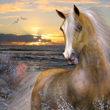 Cross stitch pattern: #24803