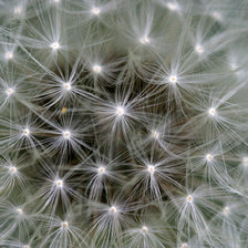 Cross stitch pattern: #25016