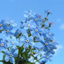 Cross stitch pattern: #25047