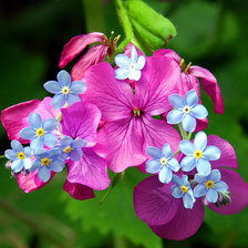 Cross stitch pattern: #25121