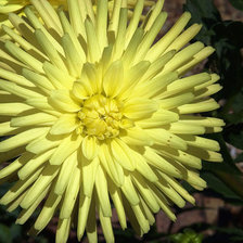 Cross stitch pattern: #25198