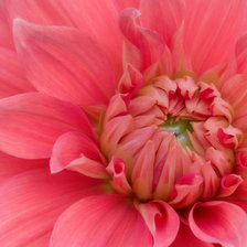 Cross stitch pattern: #25207