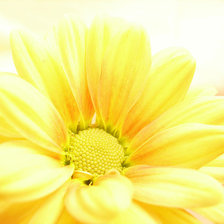 Cross stitch pattern: #25212