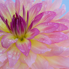 Cross stitch pattern: #25269