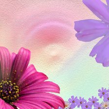 Cross stitch pattern: #25374