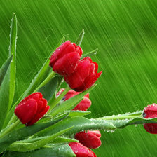 Cross stitch pattern: #25453