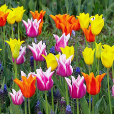 Cross stitch pattern: #25504