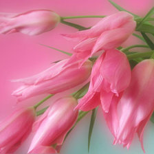 Cross stitch pattern: #25513