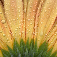 Cross stitch pattern: #25711