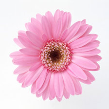 Cross stitch pattern: #25716