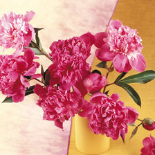 Cross stitch pattern: #25982