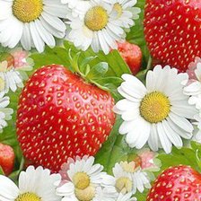 Cross stitch pattern: #26371