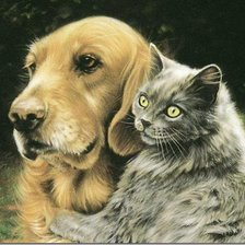Cross stitch pattern: #26701