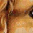 Preview of cross stitch pattern: #26714