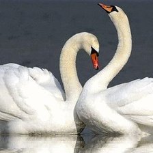 Cross stitch pattern: #27493