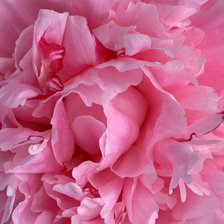 Cross stitch pattern: #27568