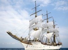 Cross stitch pattern: #27899